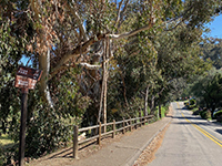The Historic Old Presidio Trail follows Mason Street across the faultline next to the golf course.